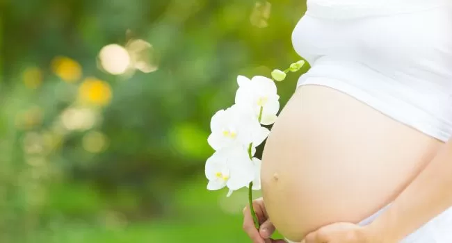 Костный мозг женщины может определять ее способность забеременеть и родить плод